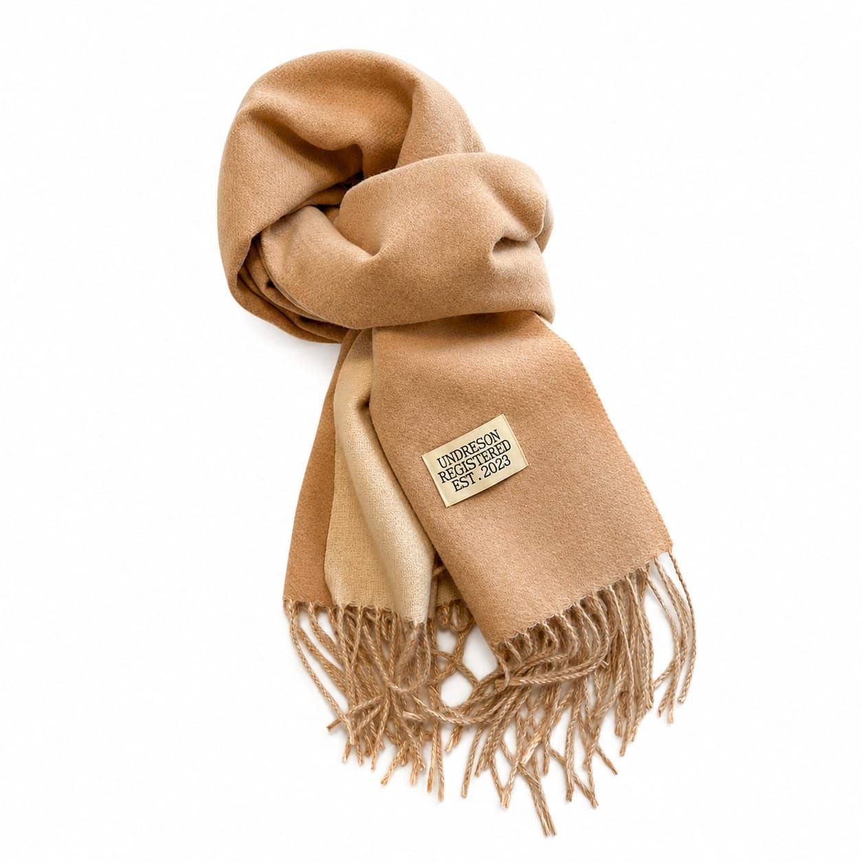 Two-Tone Fringed Scarf 2